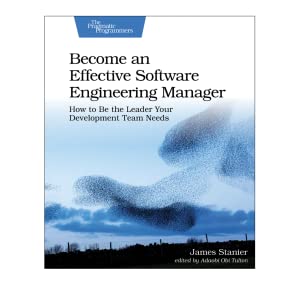 Software Engineering Manager