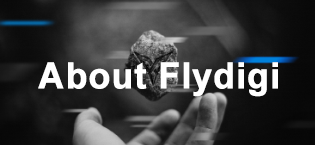 about flydigi 