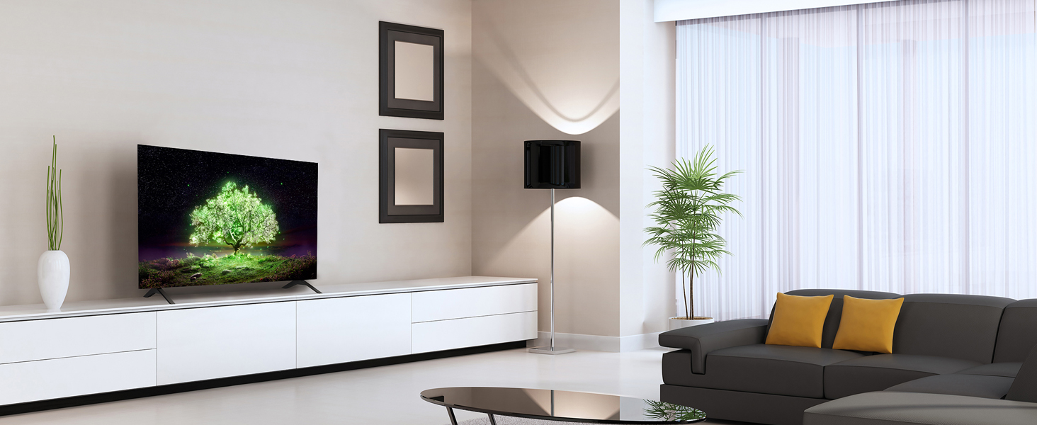 OLED A1 Lifestyle image living room